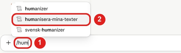 Snedstrecksmenyn i en ny chatt med den egna skillen humanisera-mina-texter markerad
